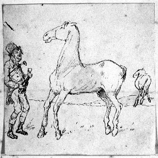 Horse and Drunken Rider
