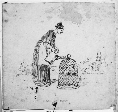 Lady Watering a Parrot