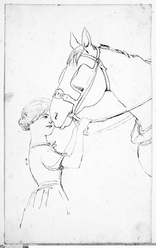 Girl Holding a Horse