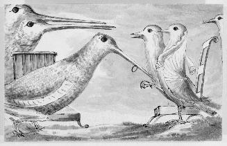 Illustrations to Story of a Woodcock and a Nightingale