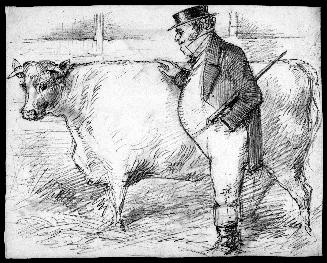 Stout Man with a Bull