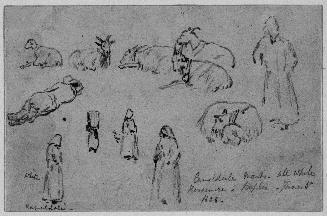 Studies of Figures and Goats
