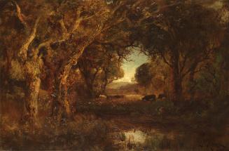 Sunset Landscape with Trees