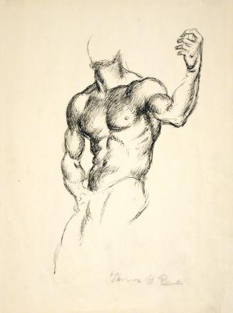 Male Figure Study