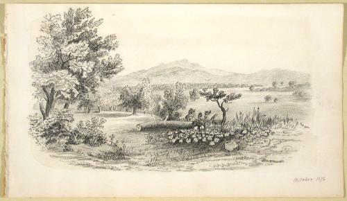 Landscape with Fallen Tree, October, 1872