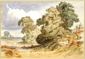 Landscape with Trees, September 3, 1890