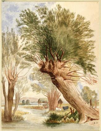 Pollarded Willows, April 30, 1909