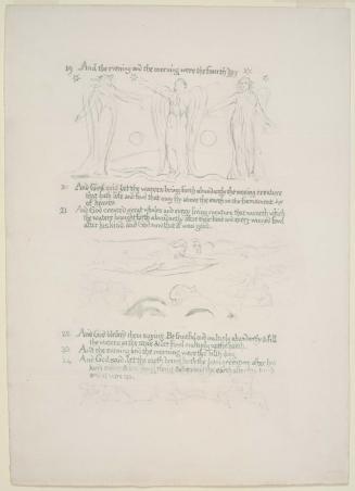Illustrated manuscript of Genesis : The fourth and fifth days of Creation