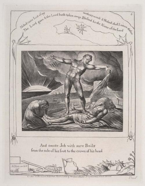 Illustrations of the Book of Job invented & engraved by William Blake  [7 of 22 engravings]