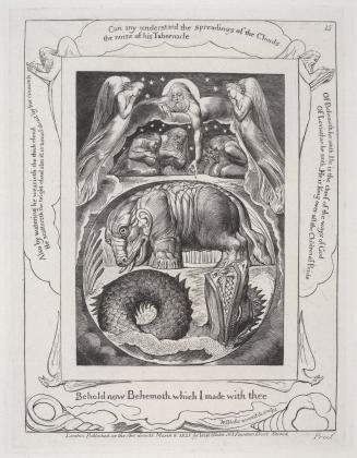 Illustrations of the Book of Job invented & engraved by William Blake  [16 of 22 engravings]