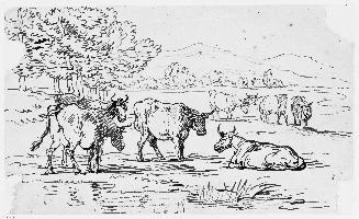 Seven Cows in a Landscape