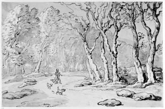 A Hunter with Three Dogs Walking Through Woods