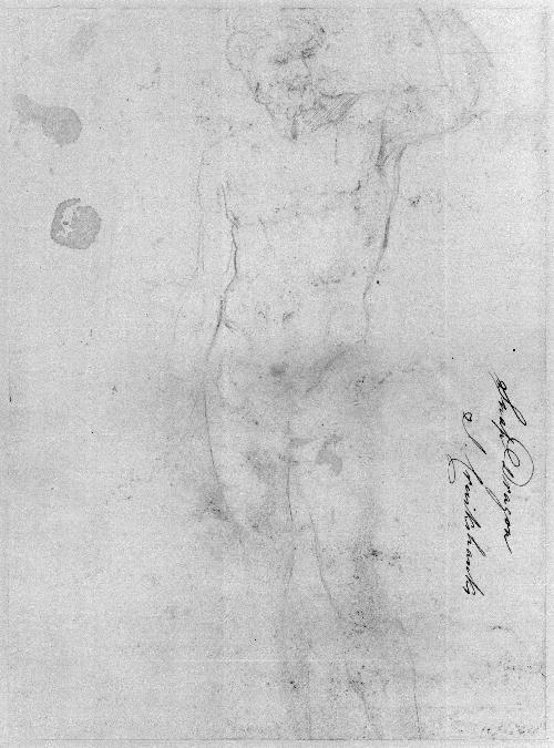 A Standing Nude Male Figure in a Classical Pose
