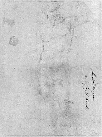 A Standing Nude Male Figure in a Classical Pose