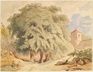 Village Scene and Pine Trees