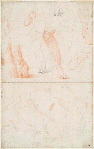 Sheet of Studies for the "Madonna of the Long Neck"