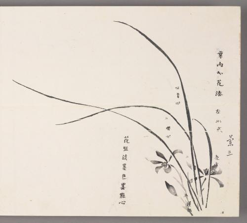 Rules of adding blossoms to leaves 葉內加花法