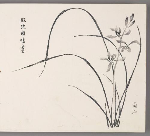 In the manner of Shen Zhou’s orchids in clear weather 臨沈周晴蘭