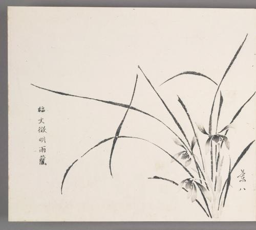 In the manner of Wen Zhengming’s orchids in rain 臨文徵明雨蘭