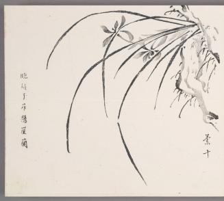 In the manner of Zhao Zi-ang’s cliffhanging orchids 臨趙子昻懸崖蘭