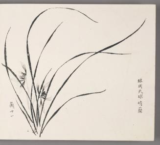 In the manner of Zhou Tianqiu’s orchids in clear weather 臨周天球晴蘭