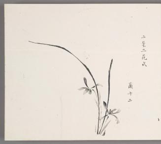 Method of two blossoms and two leaves 二葉二花式