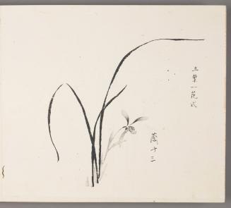 Method of three leaves and one blossom 三葉一花式