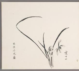In the manner of Lu Zhi’s orchids in wind 臨陸治風蘭