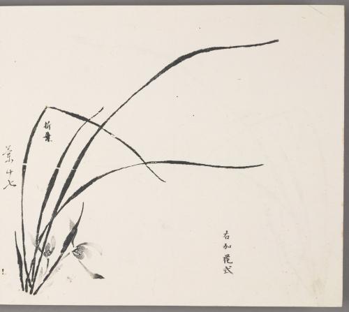 Method of adding flowers to the right 右加花式