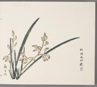 In the manner of Zhou Tianqiu's jian orchids 臨周天球建蘭