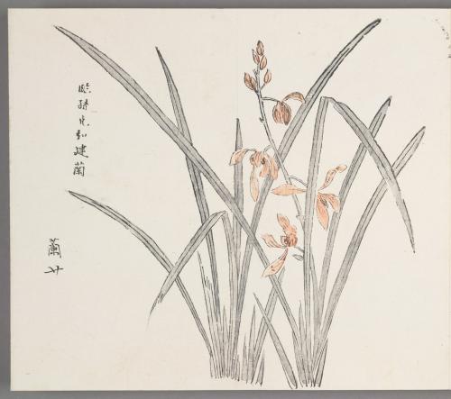 In the manner of Sun Kehong's jian orchids 臨孫克弘建蘭
