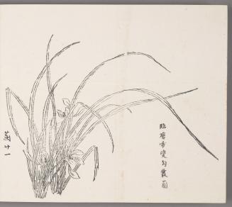 In the manner of Tang Yin's double outlined clump of orchids 臨唐寅雙勾叢蘭