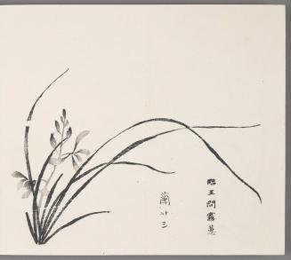 In the manner of Wang Wen's hui orchids in dew 臨王問露蕙