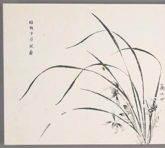 In the manner of Zhao Zi-ang's orchids in wind 臨趙子昻風蘭