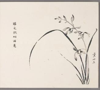 In the manner of Wen Zhengming's hui orchids in rain (In the manner of Wen Zhengming's rainy orchid) 臨文徵明雨蕙