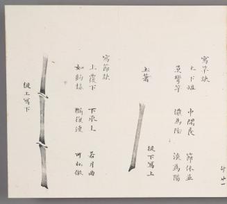 Pointers for Depicting [Bamboo] Culm 寫竿訣