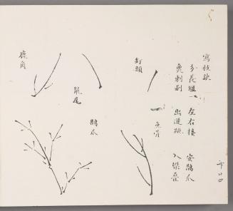 Pointers for Depicting Branches 寫枝訣