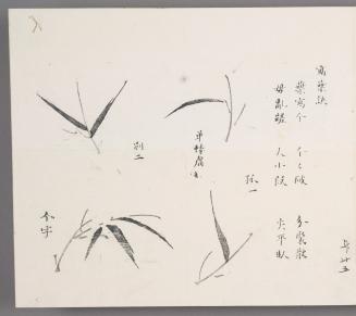 Pointers for Depicting Leaves 寫葉訣