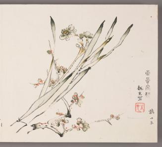 Flowering Plum and Narcissus 玉骨同妍