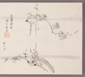 Flowering Plum in Mist  香夢沉酣