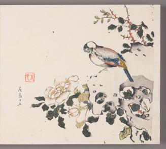 Bird on Rock with Blossoming Rose