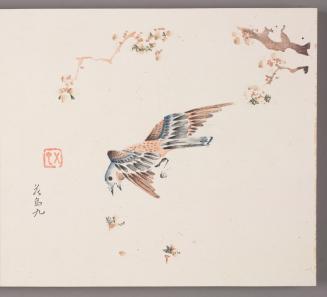 Bird Chasing Falling Blossoms