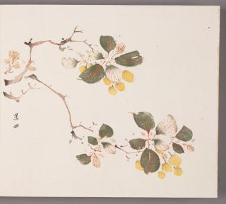 Branches of Cherries (Yingtao)