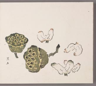 Lotus Pod and Water Caltrops (lianpeng ling, ji)