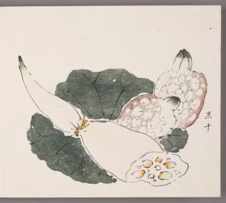 Lotus Leaf, Lotus Root and Cock's Head (two jitou capsules) (ou, jitou)