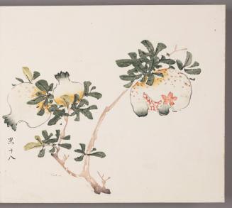 Pomegranate Branch (shiliu)