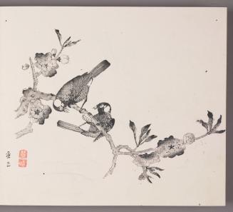 Two Chinese Bulbuls with Cherry Blossoms