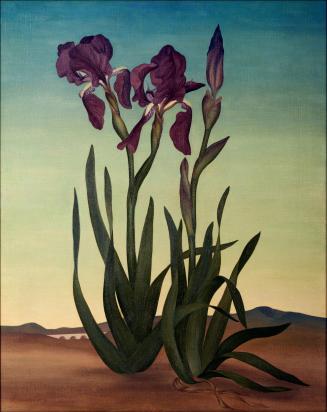 Irises, (The Sentinels)