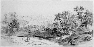 Ceylon, Adam's Peak from Avisavella