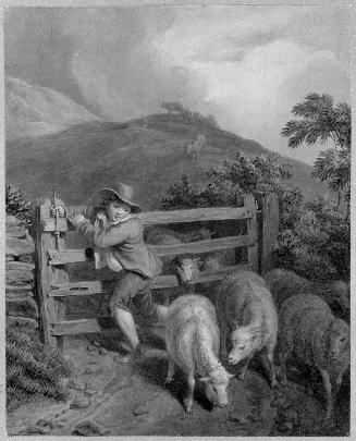 Boy and Sheep
